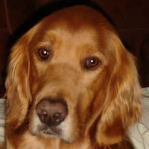 Meet your Posher, Sue ann